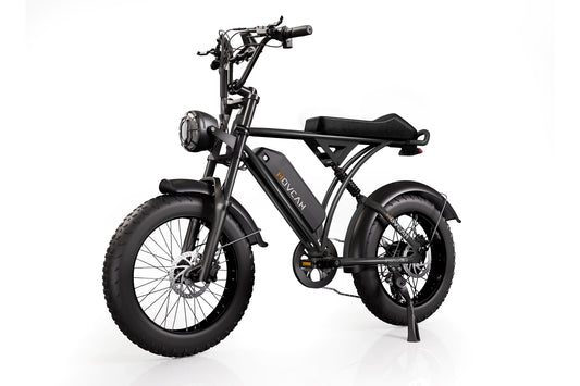 V60 Fat Tire Electric Bike 1000W motor 48V 15.6AH battery