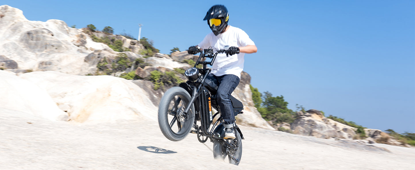 V29 Fat Tire Electric Bike 1000W motor 48V 15.6AH battery