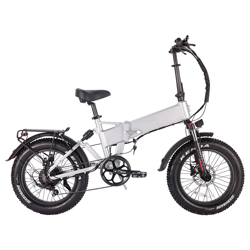 B20AX Fat Tire Folding Electric Bike 750W Motor 48V 13Ah Battery