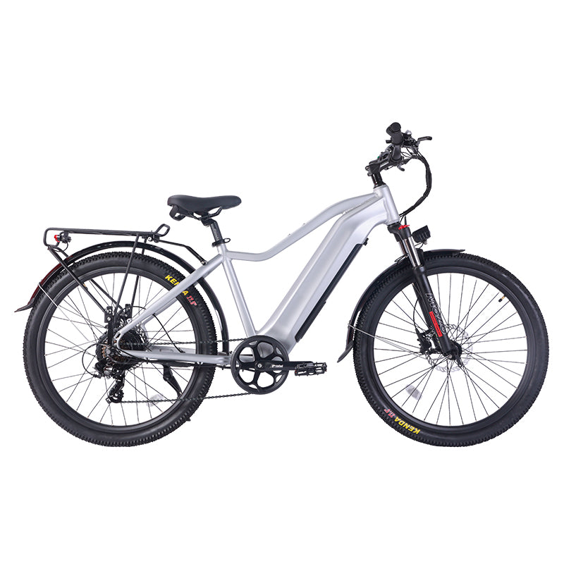 B52 Fat Tire Electric Bike 750W Motor 48V 15.6Ah Battery