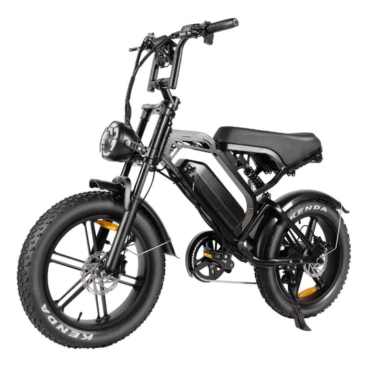 V20 Fat Tire Electric Bike 1000W motor 48V 15.6AH battery