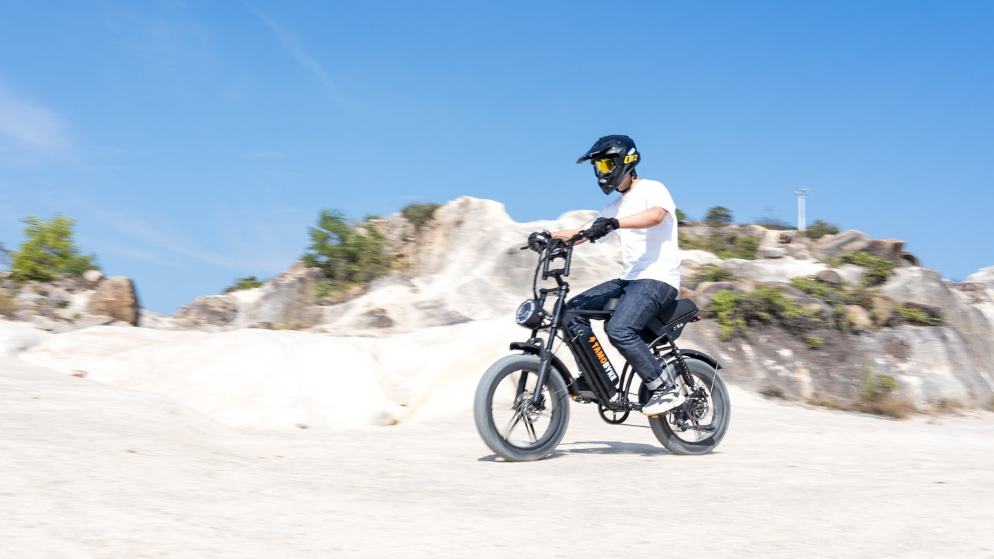 V29 Fat Tire Electric Bike 1000W motor 48V 15.6AH battery