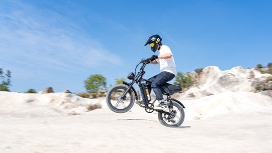 V29 Fat Tire Electric Bike 1000W motor 48V 15.6AH battery