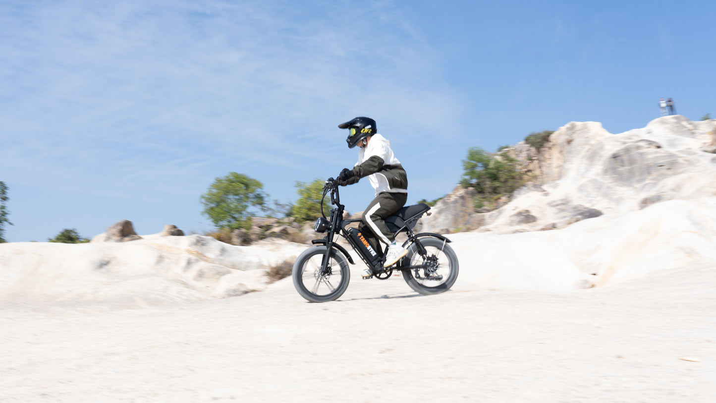V29 Fat Tire Electric Bike 1000W motor 48V 15.6AH battery