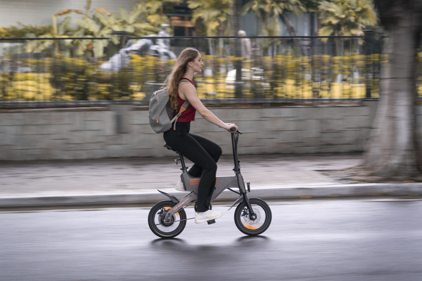 S2 Mini Electric Bike