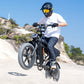 V29 Fat Tire Electric Bike 1000W motor 48V 15.6AH battery