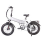 B20AX Fat Tire Folding Electric Bike 750W Motor 48V 13Ah Battery