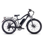 B28D Fat Tire Electric Bike 750W Motor 48V 15.6Ah Battery