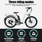 B40 Fat Tire Electric Bike 750W Motor 48V 15Ah Battery