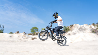 V29 Fat Tire Electric Bike 1000W motor 48V 15.6AH battery