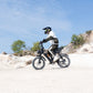 V29 Fat Tire Electric Bike 1000W motor 48V 15.6AH battery