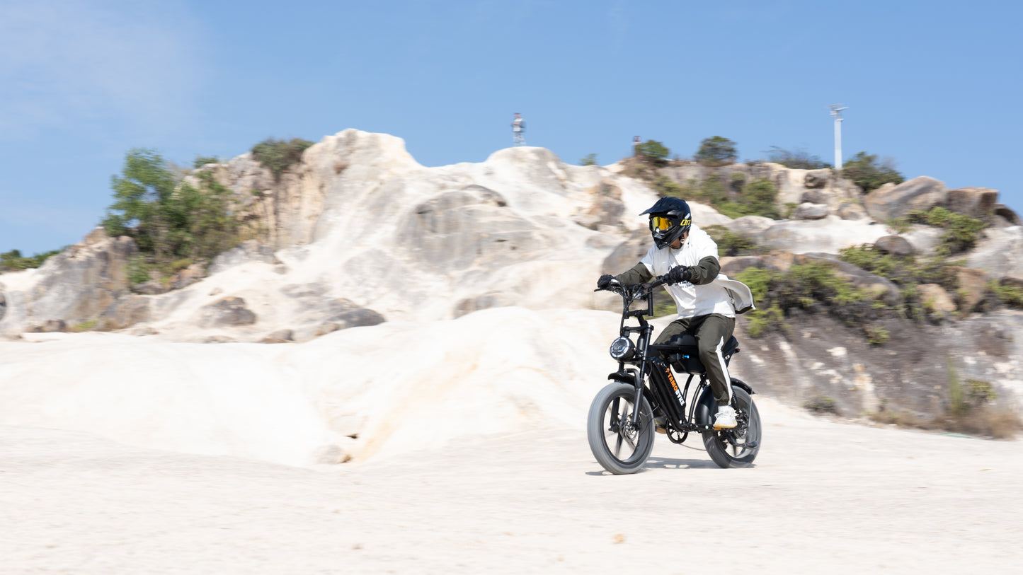 V29 Fat Tire Electric Bike 1000W motor 48V 15.6AH battery