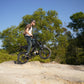 V20 Fat Tire Electric Bike 1000W motor 48V 15.6AH battery