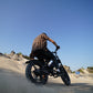 V20 Fat Tire Electric Bike 1000W motor 48V 15.6AH battery