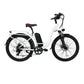 B40 Fat Tire Electric Bike 750W Motor 48V 15Ah Battery