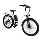 B40 Fat Tire Electric Bike 750W Motor 48V 15Ah Battery