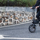 S1 Mini Electric Bike
